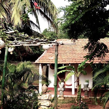 Allens Home Stay ジャフナ エクステリア 写真
