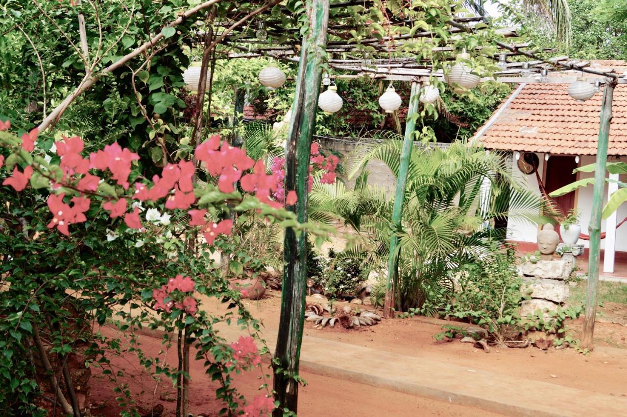 Allens Home Stay ジャフナ エクステリア 写真